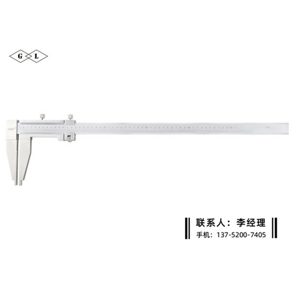 防磁游标卡尺0-500mm