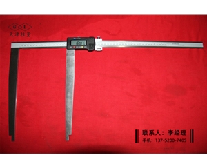 超长爪数显卡尺500×300mm