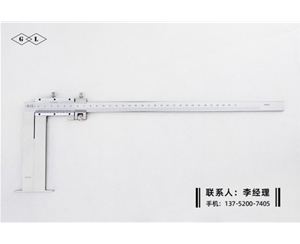 内沟槽游标卡尺60-300×120mm