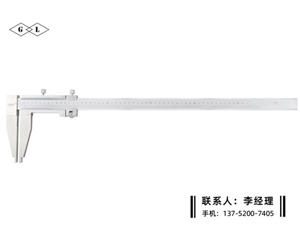 防磁游标卡尺0-500mm